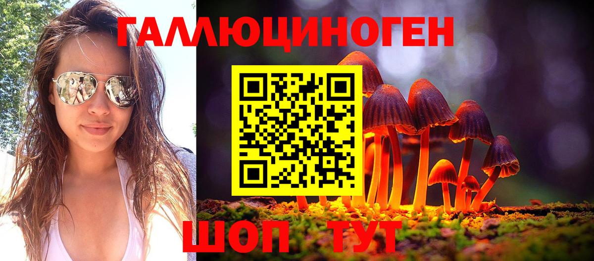 Псилоцибиновые грибы прущие грибы Владивосток