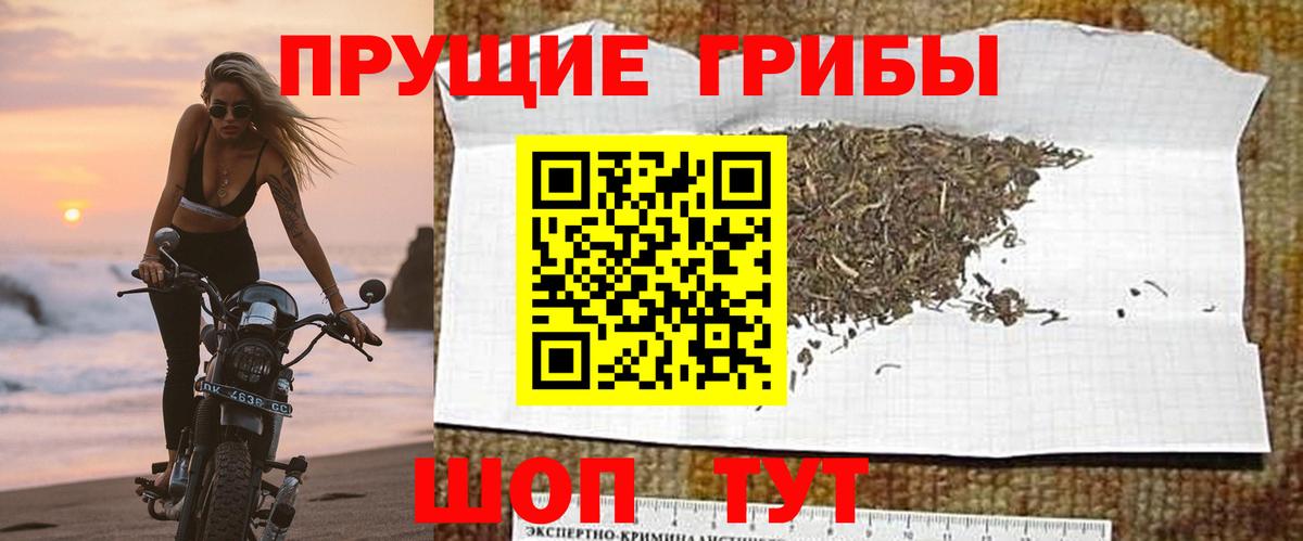 Галлюциногенные грибы MAGIC MUSHROOMS  Вход с VPN  Владивосток 